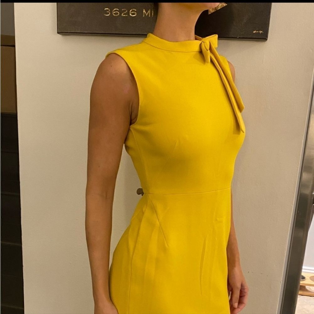 Zara - Picture 13 of 17